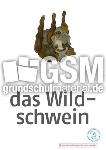 Bildkarten_d_Waldtiere 13.pdf